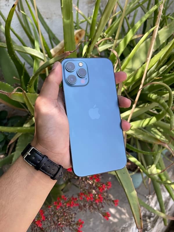 iPhone 12 Pro Max 6