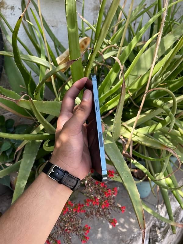 iPhone 12 Pro Max 8