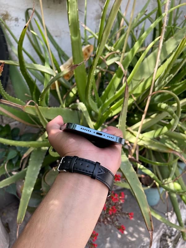 iPhone 12 Pro Max 9