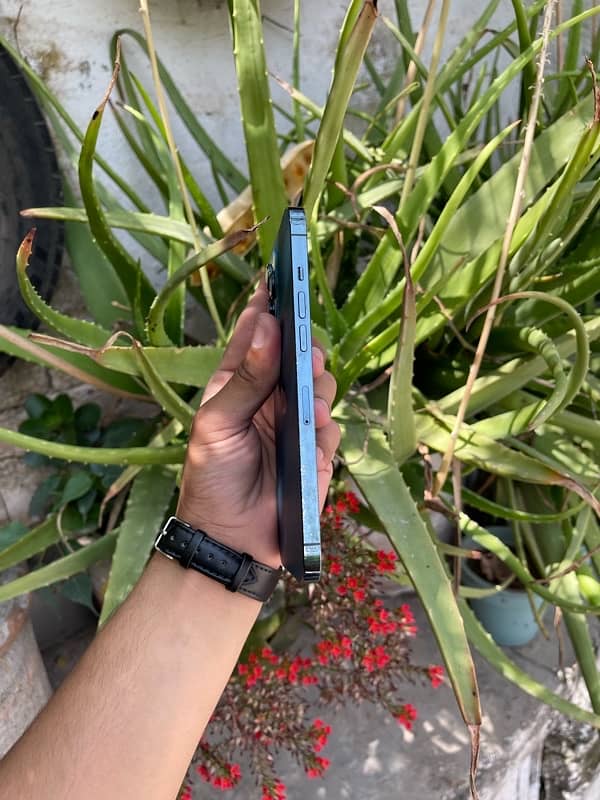 iPhone 12 Pro Max 10
