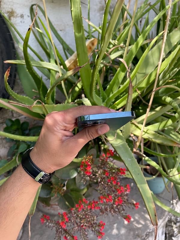 iPhone 12 Pro Max 11