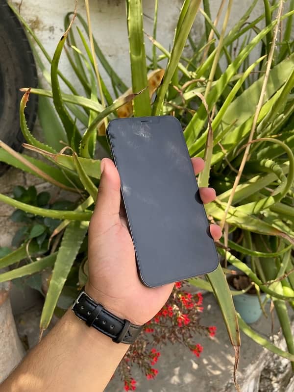 iPhone 12 Pro Max 12