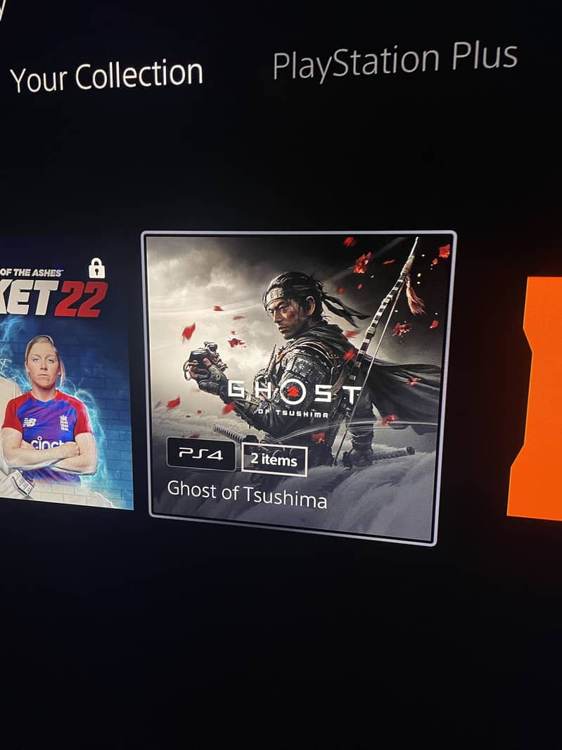 Ghost of Tsushima Digital Ps4 Directer’s cut 0
