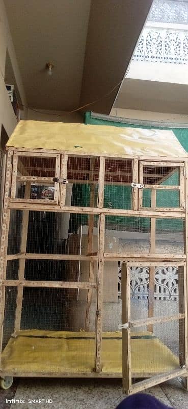 Birds Cage 0