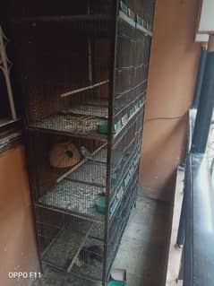 12 portion cage for sale