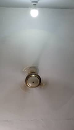 Pak fan classic gold fan low voltage low power 70watt ceiling fan