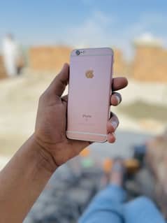I phone 6s 64 official pta