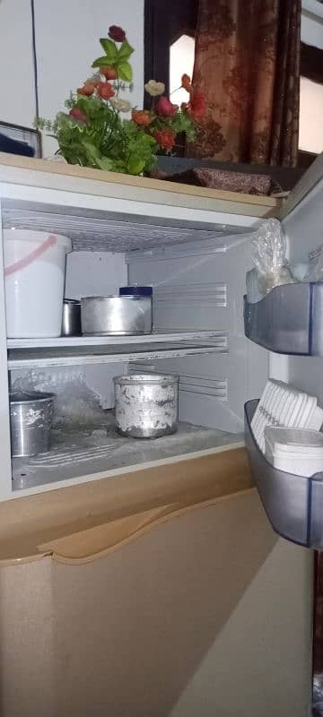 PEL Refrigerator Medium Size 3