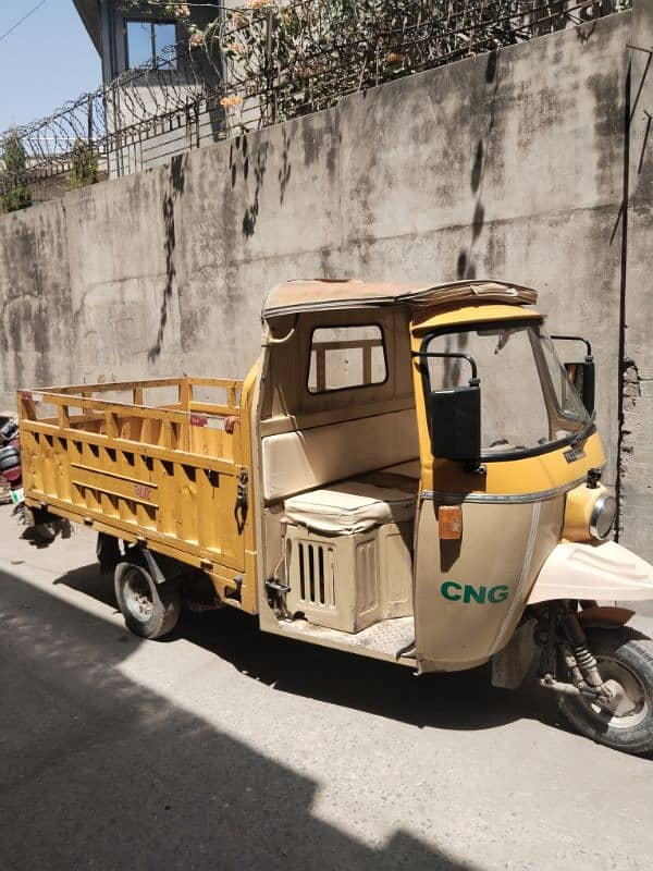 Loader Rikhshaw 250cc 7