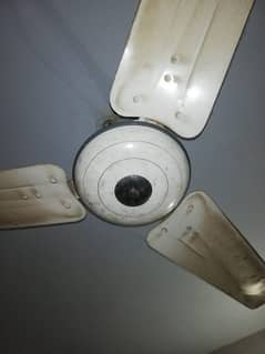 ROYAL FAN ONLY IN RS. 9,000/-
