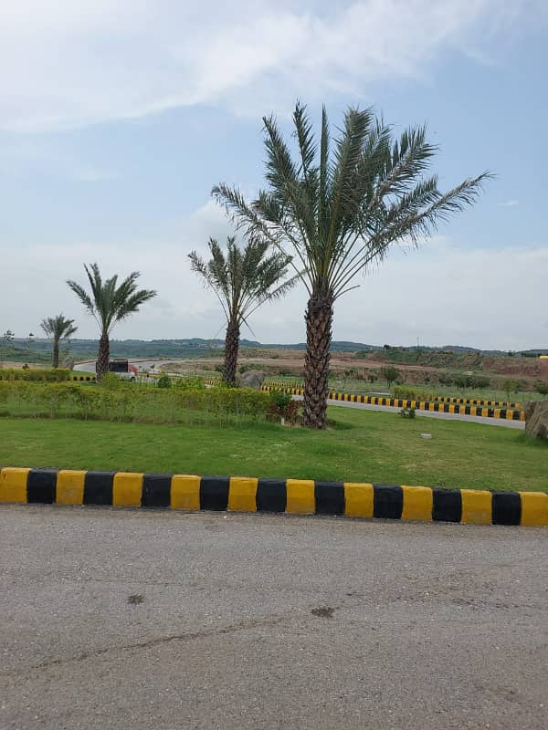 Oleander 8m open file for sale 4