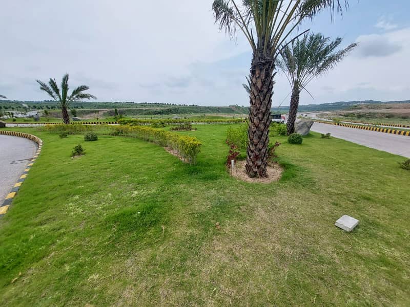 Oleander 8m open file for sale 9