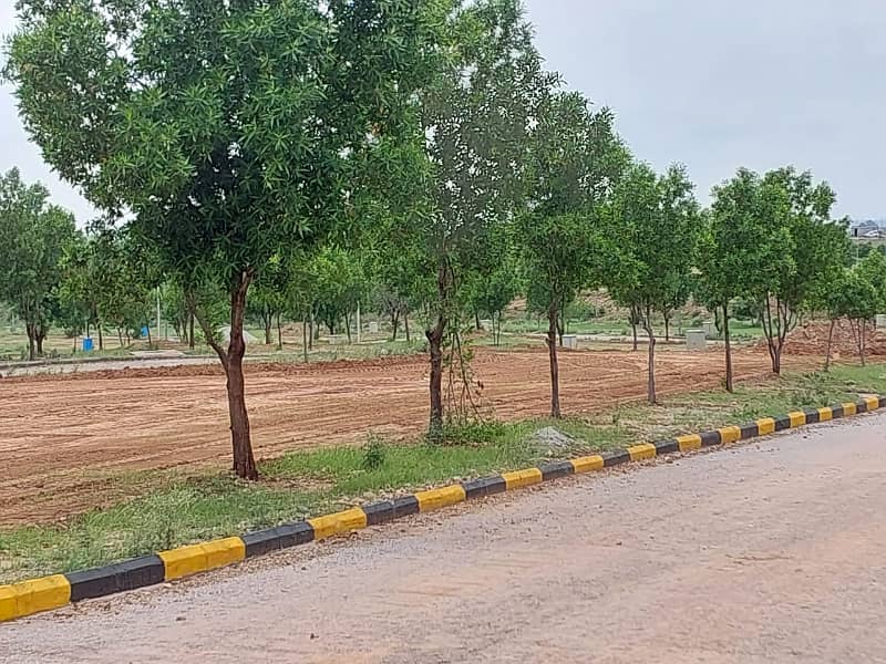 Oleander 8m open file for sale 16
