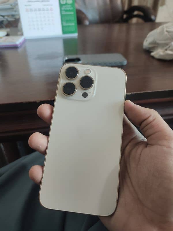 13 Pro Gold Color 128 Gb JV 0