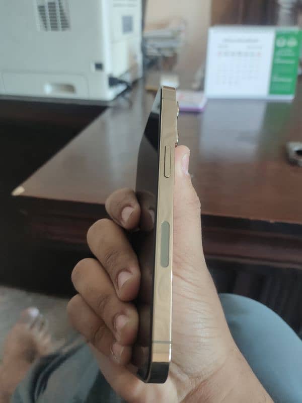 13 Pro Gold Color 128 Gb JV 1