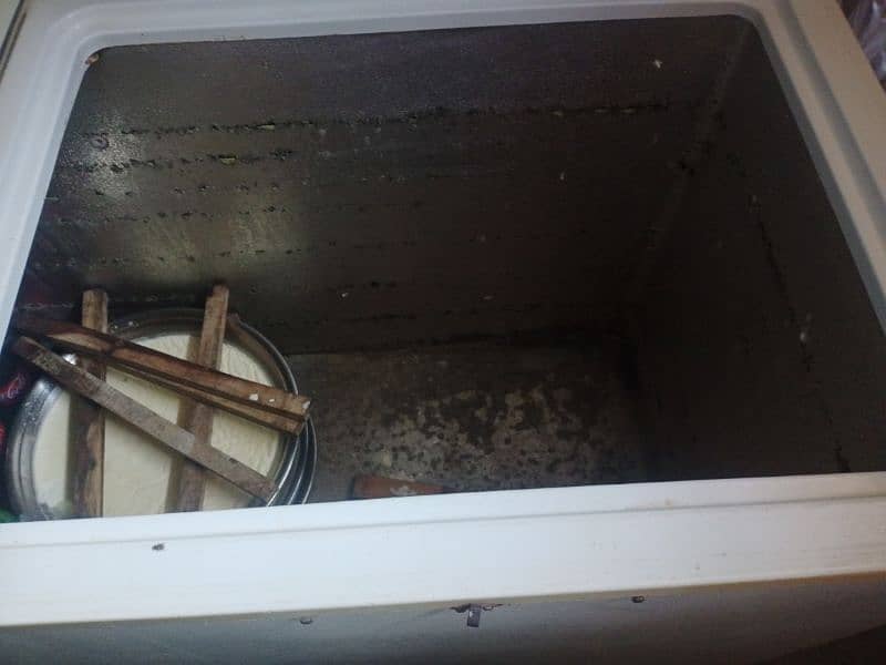wevs freezer 1