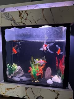 fishes