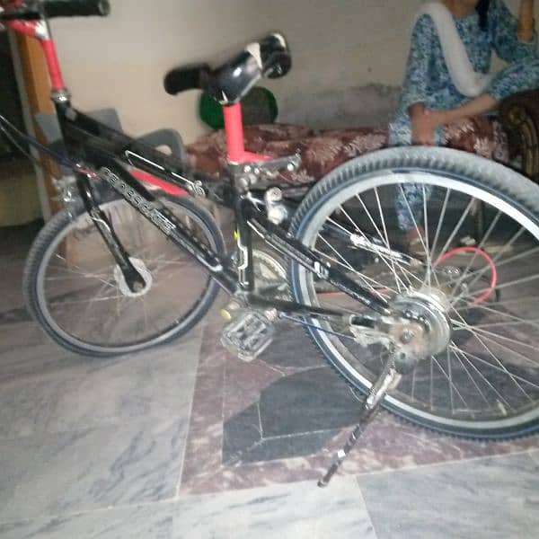 japani cycle 1