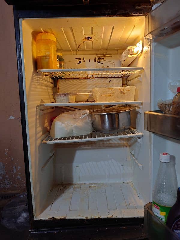 PEL 2500JF Medium Size Fridge 7