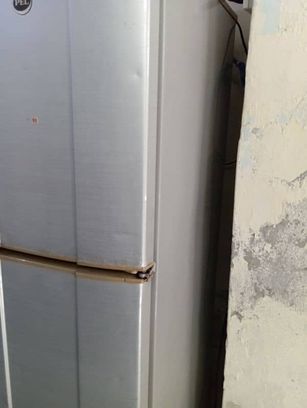 Pel large Size Refrigerator. . 0317.7011636 1