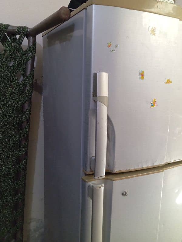 Pel large Size Refrigerator. . 0317.7011636 2