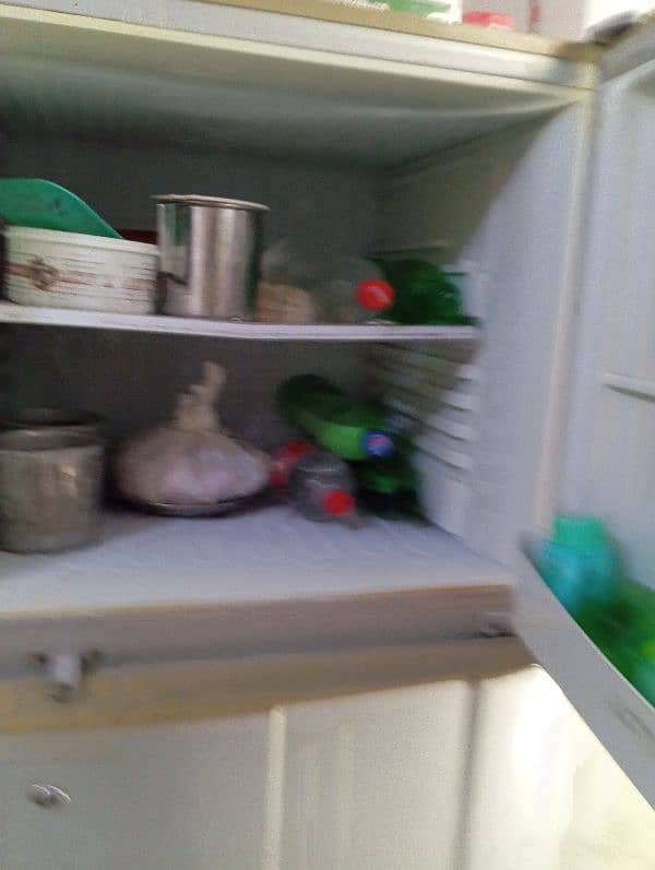 Pel large Size Refrigerator. . 0317.7011636 3