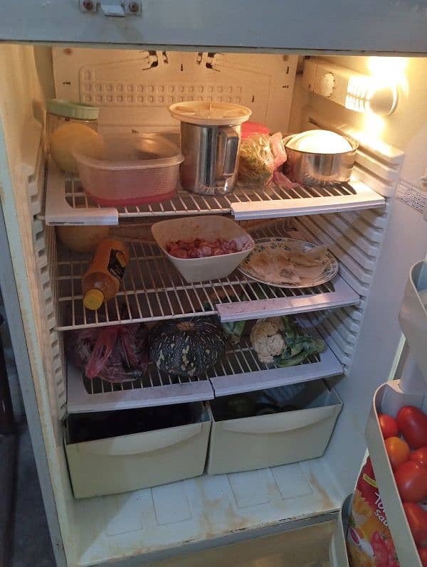 Pel large Size Refrigerator. . 0317.7011636 5