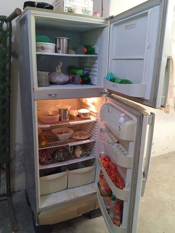 Pel large Size Refrigerator. . 0317.7011636 6