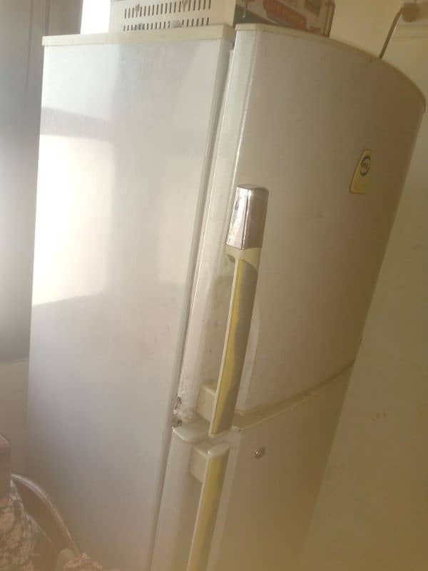 Pel refregerator 2