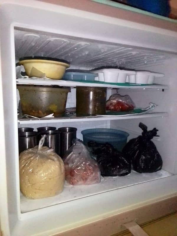 dewlance refrigerator 2