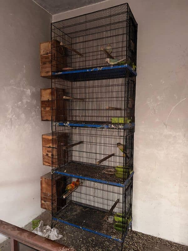 brids breeder cages 0