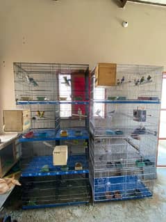 only cage master cage 8 portion