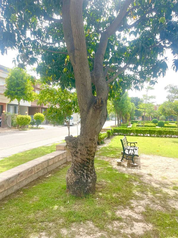 A PRIME LOCATION FACING PARK APARTMENT AVAILABLE FOR RENT 1