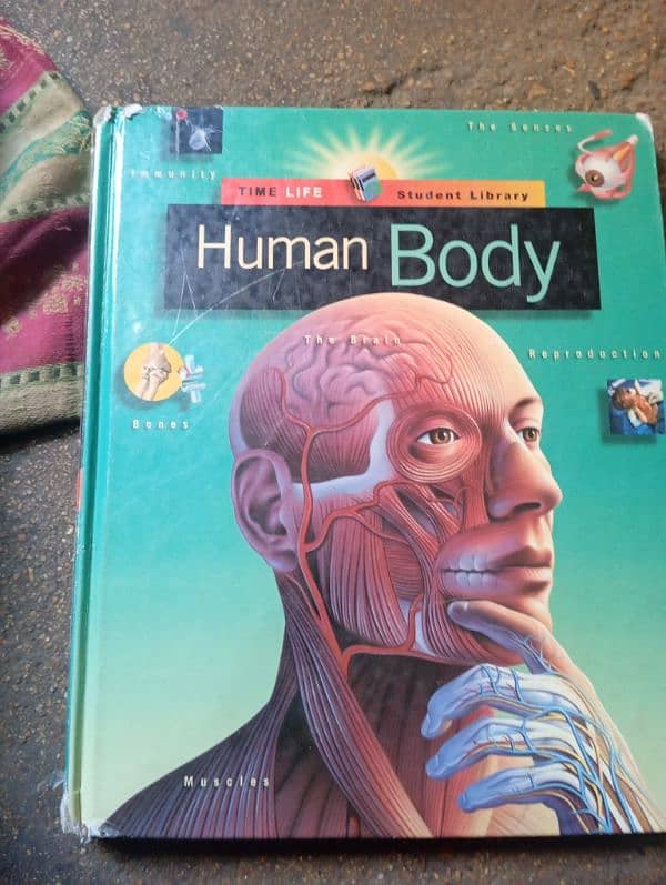 human body 0