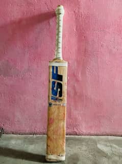 English Willow Bat