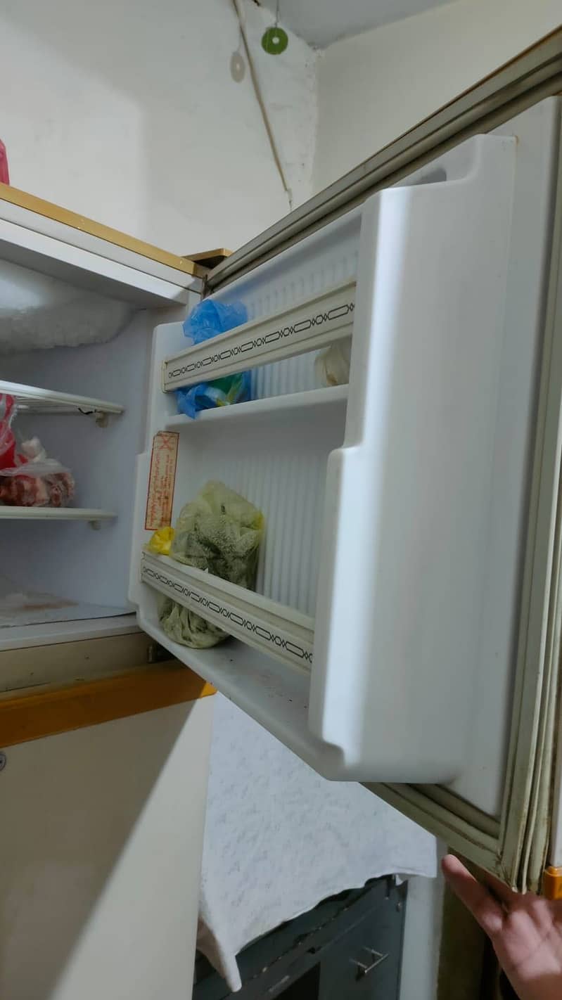 Pell refrigerator 1