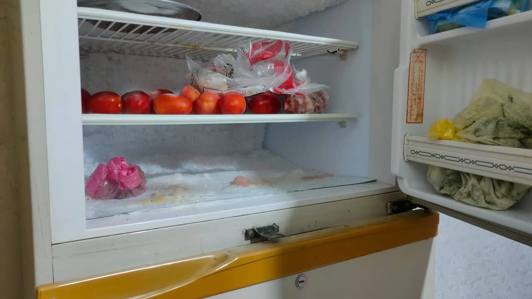 Pell refrigerator 4