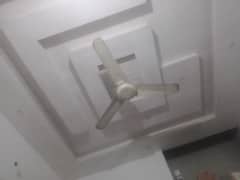 Genenine climax Fan