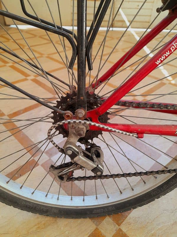 phoenix gears cycle 2