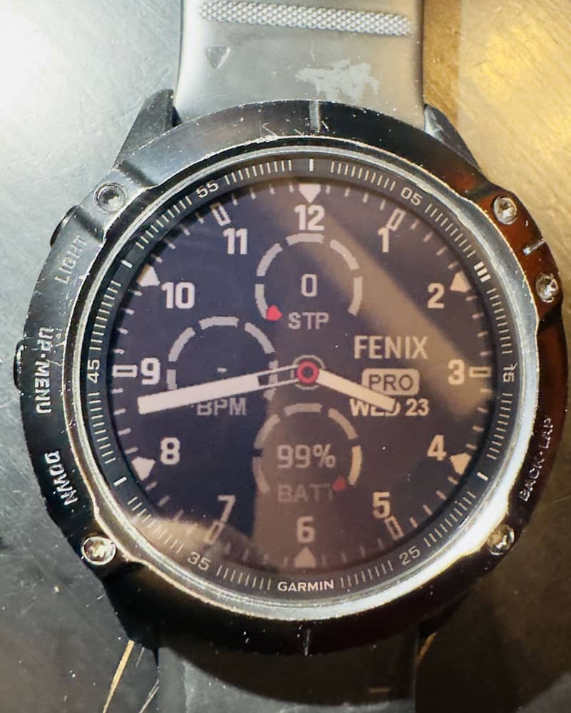 Garmin Fenix 6 x sapphire 0