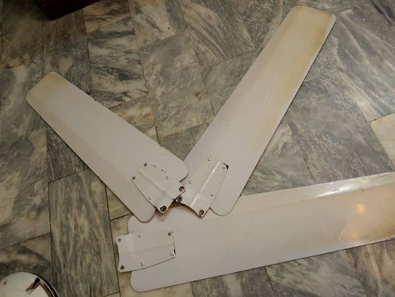 Celling fan almost new hi hai 2