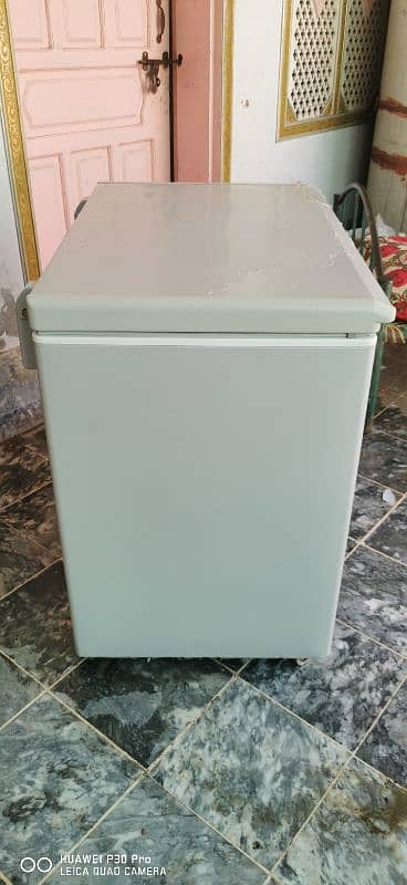 PEL Arctic Pro Deep Freezer - Single Door 5