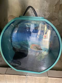 Small aquarium Beautiful