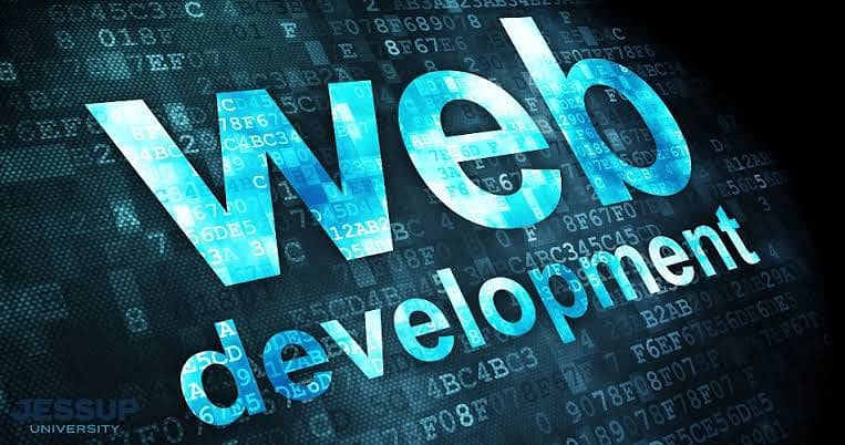 Web Developer. Male / Female. 0