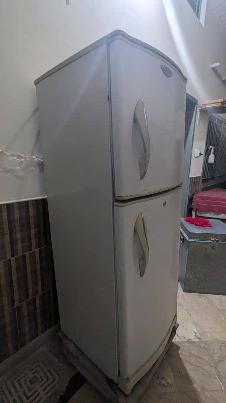 Waves fridge 1
