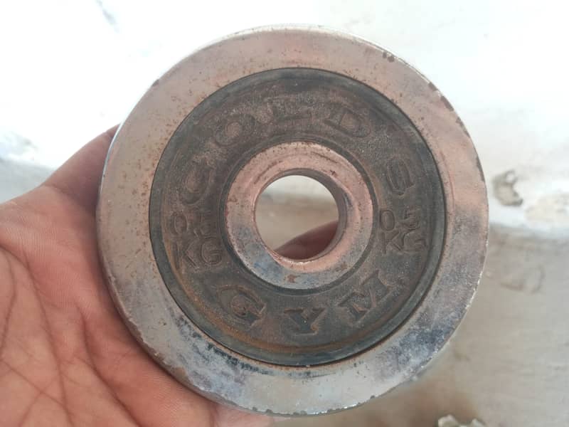 Kettler Barbell and Gold Gym's dumbbells for sale 3
