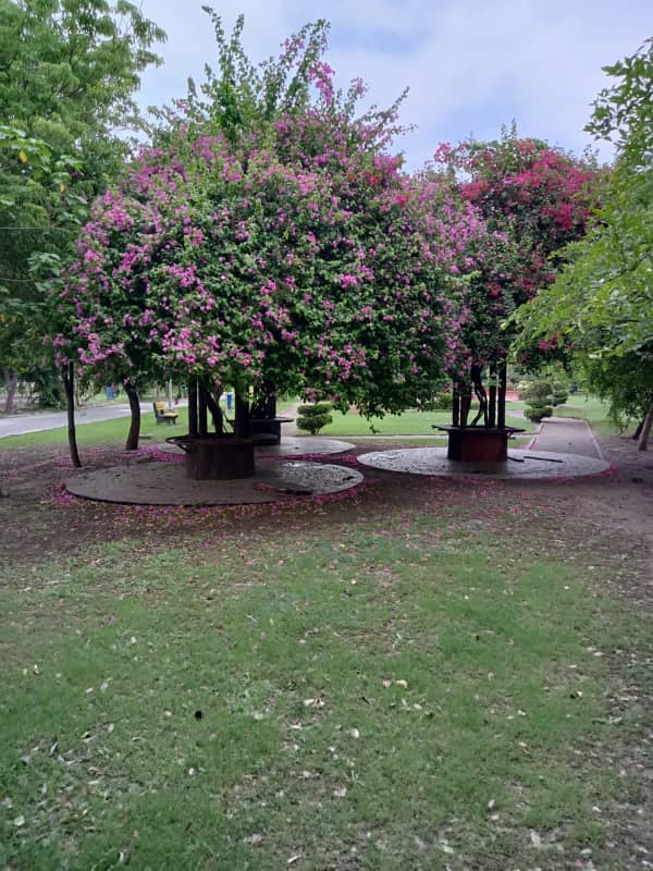 5 MARLA PLOT NEAREST TO MAIN CANAL ROAD OR PRIME LOCATION AVAILABLE FOR SALE IN NLC 7