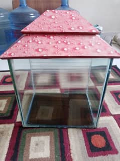 Aquarium 1 ft hight , 1 ft widht , 1/2 dept