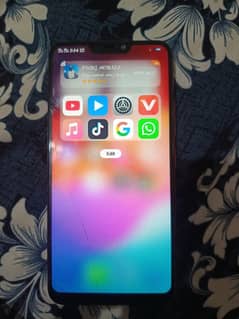 vivo