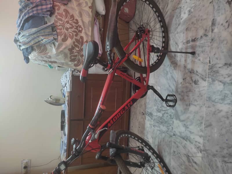 Morgan cycle 0